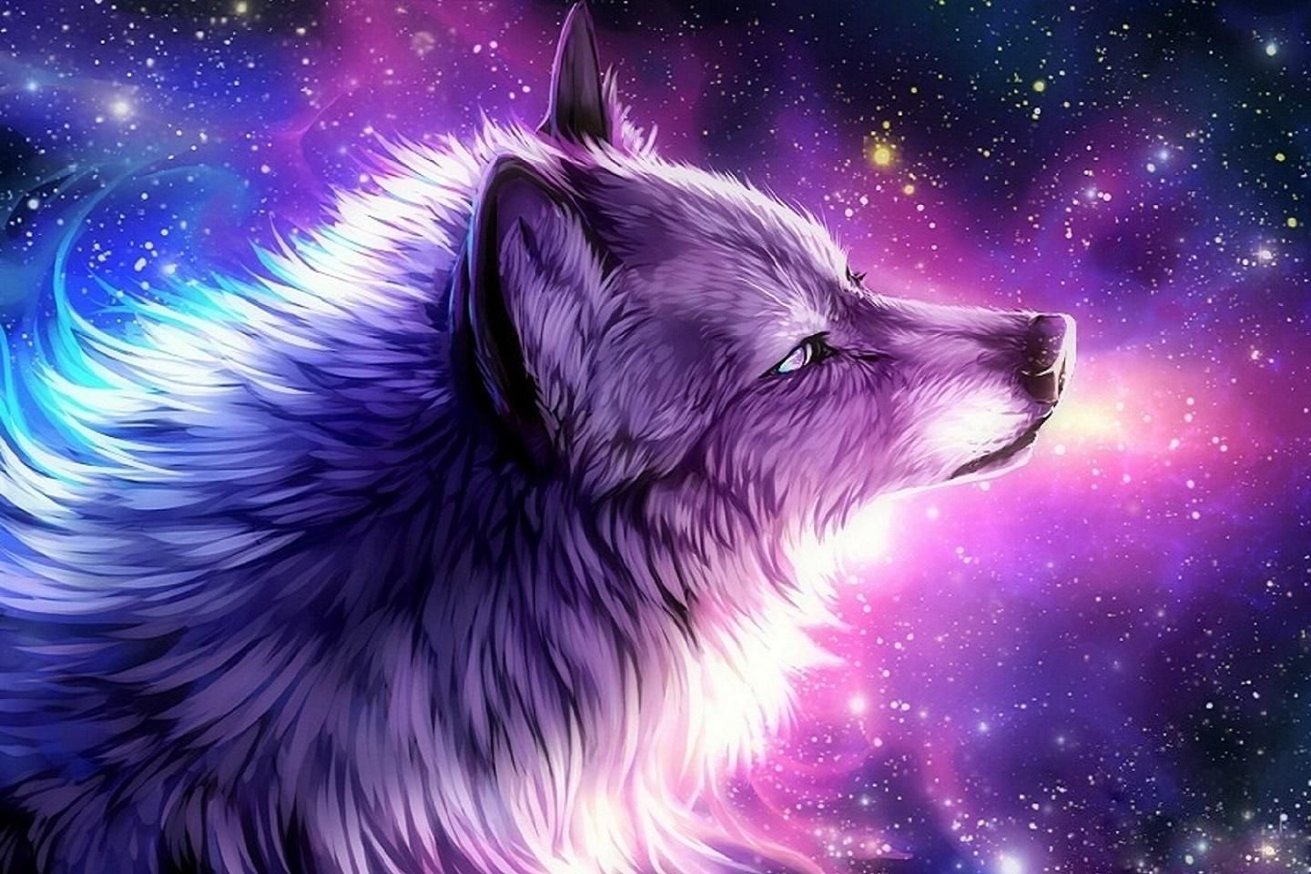 Featured image of post Anime Cute Cool Galaxy Wolf