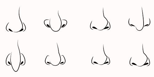 Featured image of post Female Nose Drawing Cartoon