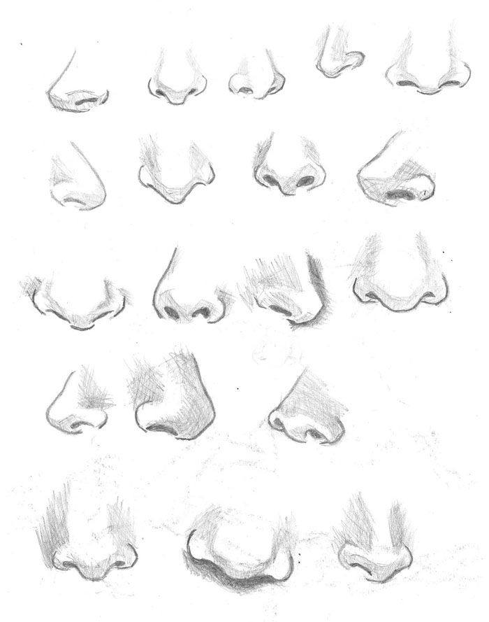 Featured image of post Female Nose Drawing Reference