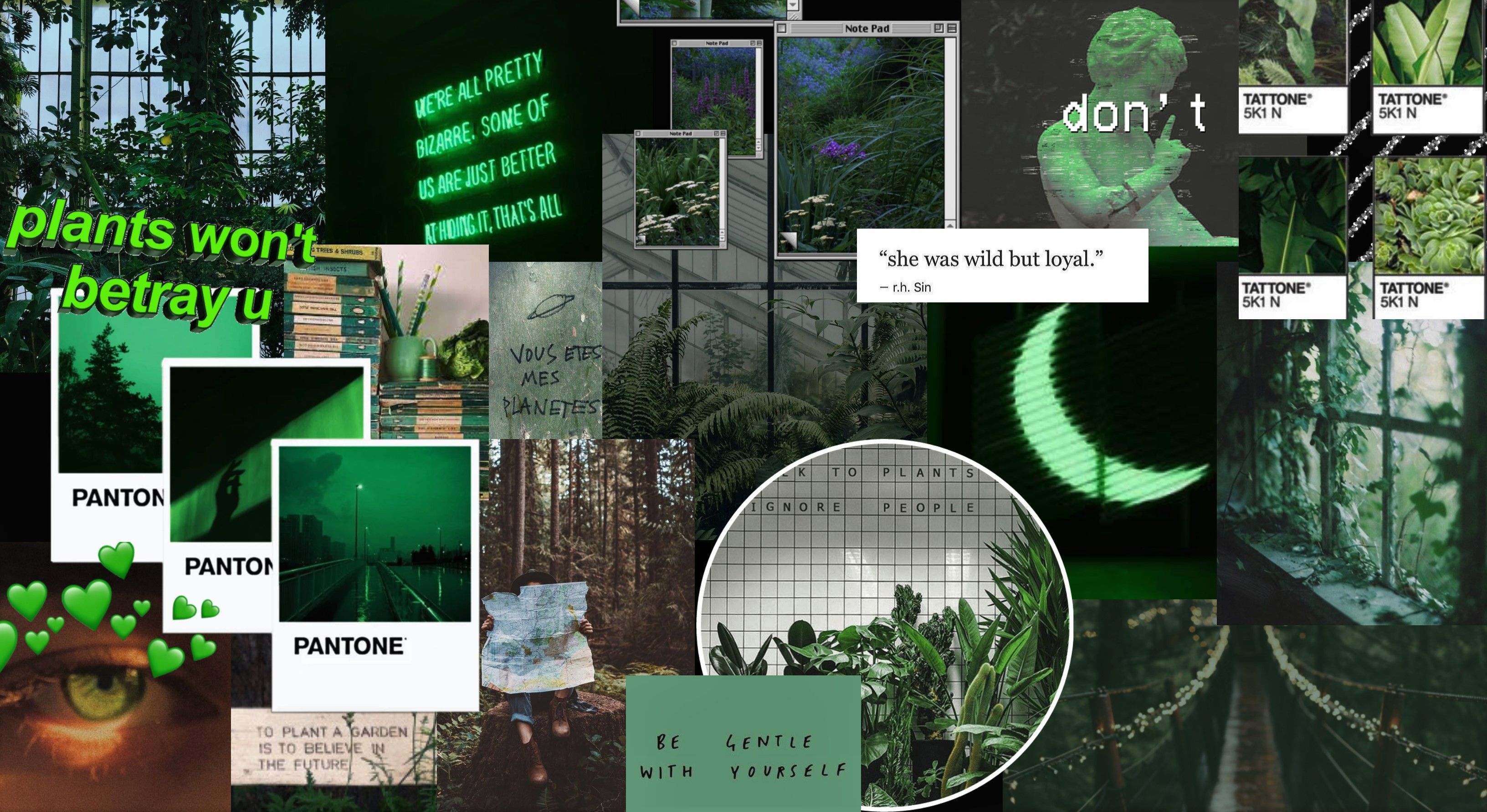 Featured image of post Green Aesthetic Wallpaper Desktop