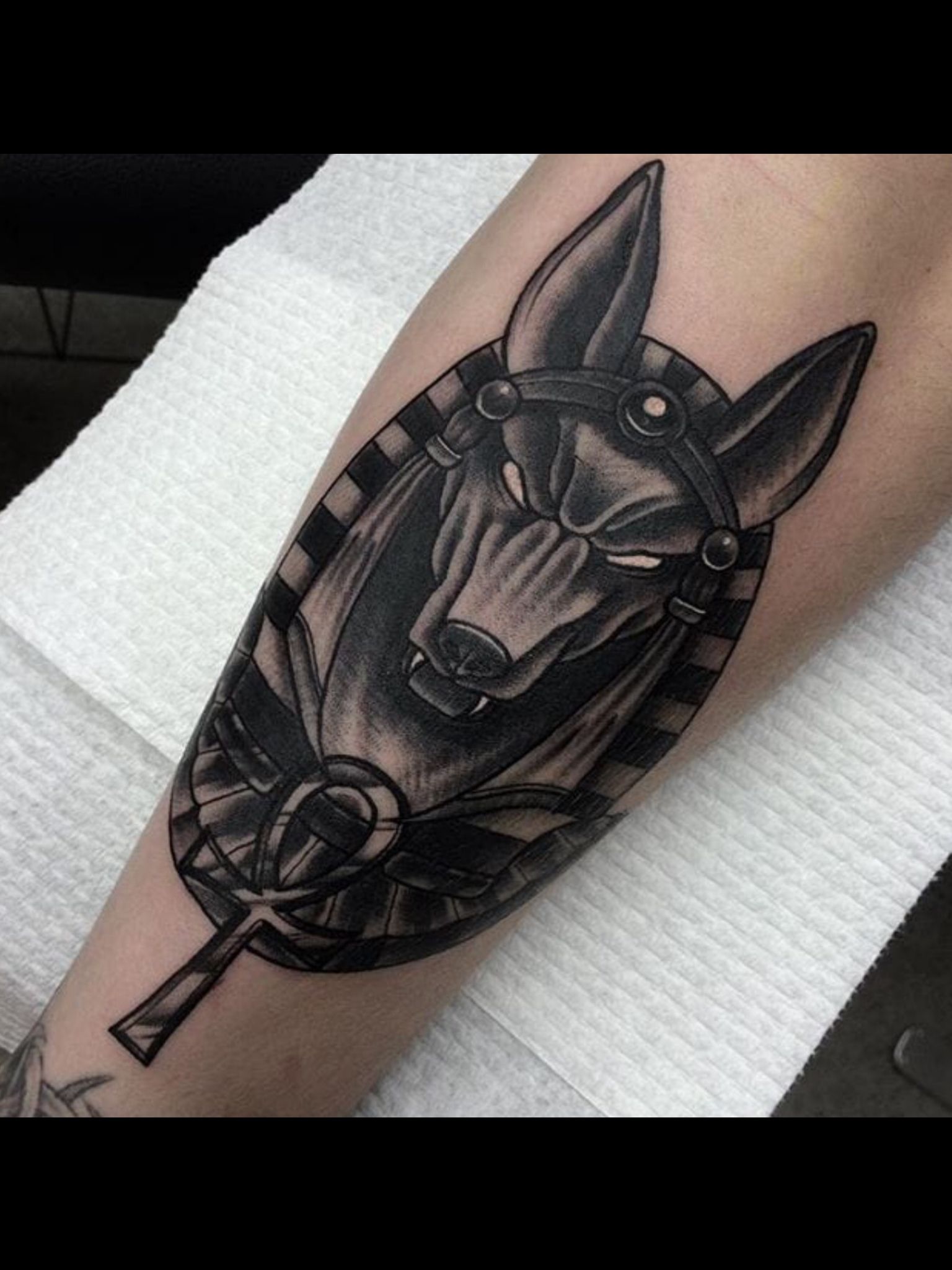 Featured image of post Tatuajes De Anubis Blanco Y Negro